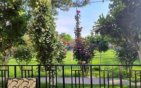 Room With Private Garden